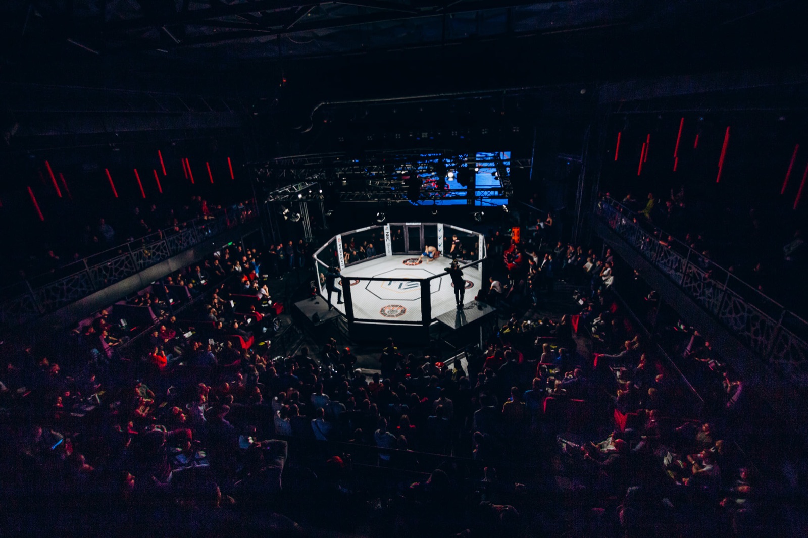 A full arena surrounds the illuminated RFP cage.